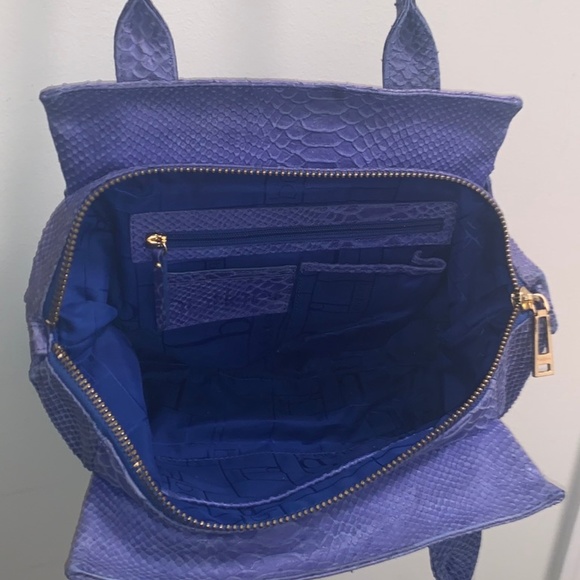 BOTKIER Cobalt Snakeskin Trigger Satchel - Picture 3 of 4